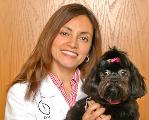 Dr Ana Falk DVM Holistic Pet Vet Dogs Cats 1