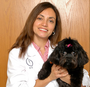 Dr Ana Falk Holistic Pet Vet Phone Consultations 2