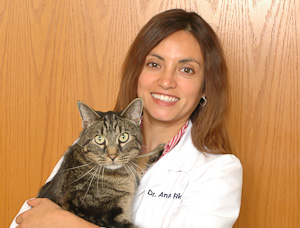Dr Ana Falk Holistic Pet Vet Phone Consultations 3